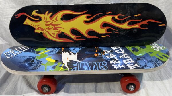 IMG_E6614 Skateboard