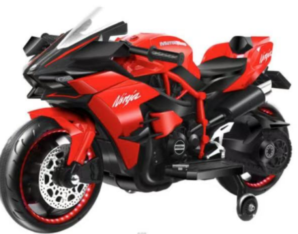 IMG_6750 Ninja Bike